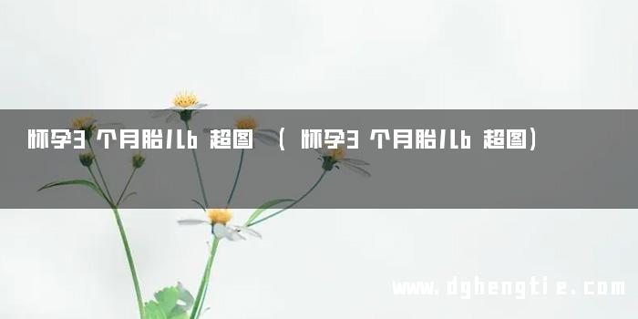 怀孕3个月胎儿b超图 (怀孕3个月胎儿b超图)